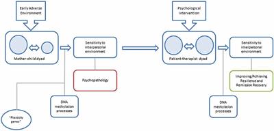 Potential epigenetic mechanisms in psychotherapy: a pilot study on DNA methylation and mentalization change in borderline personality disorder